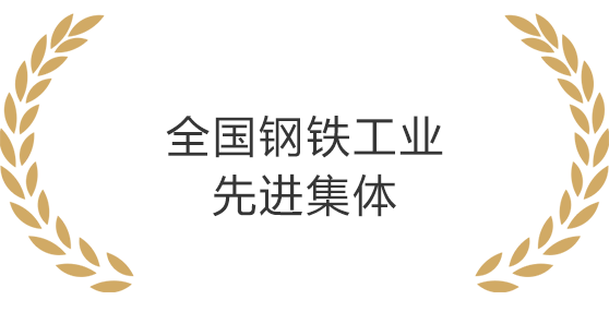 HL8(й)޹˾