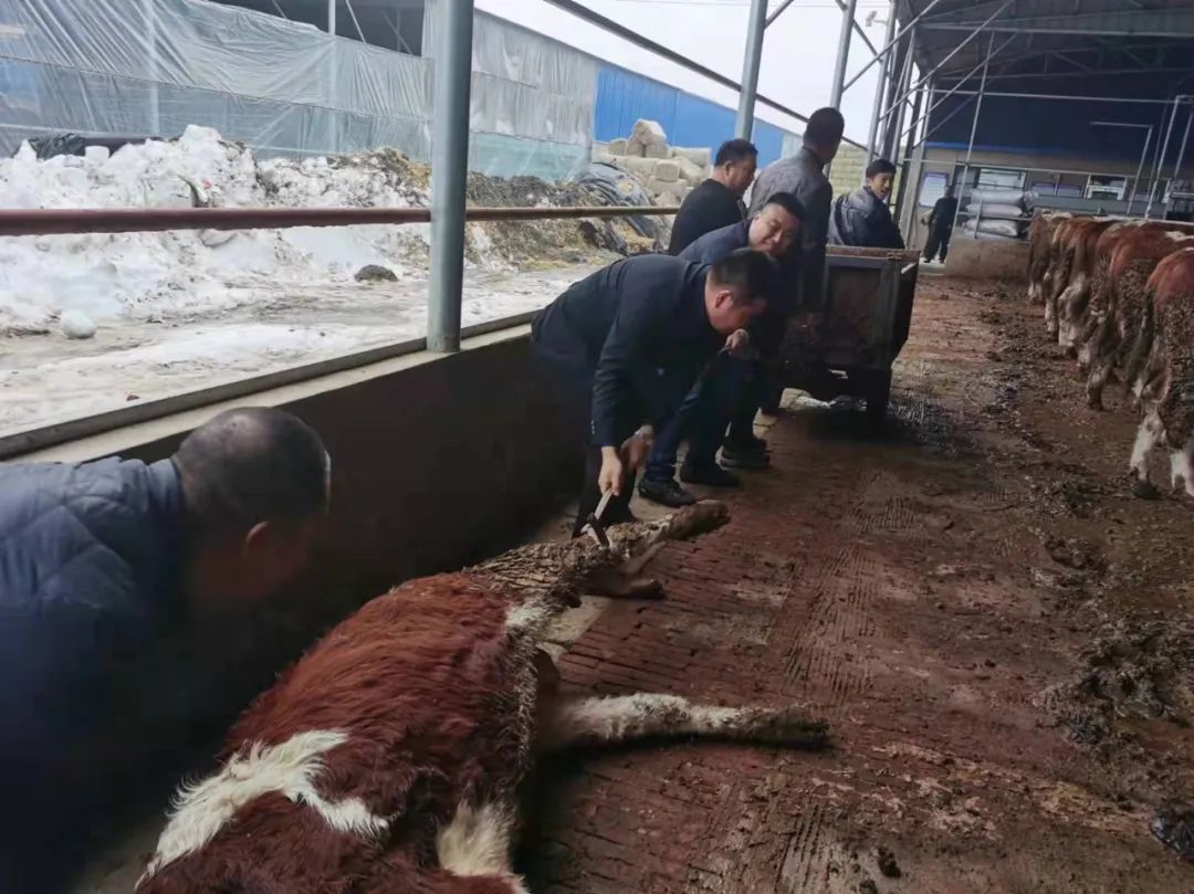 ����ʹ-fun88����ʹ-�ٷ���վ