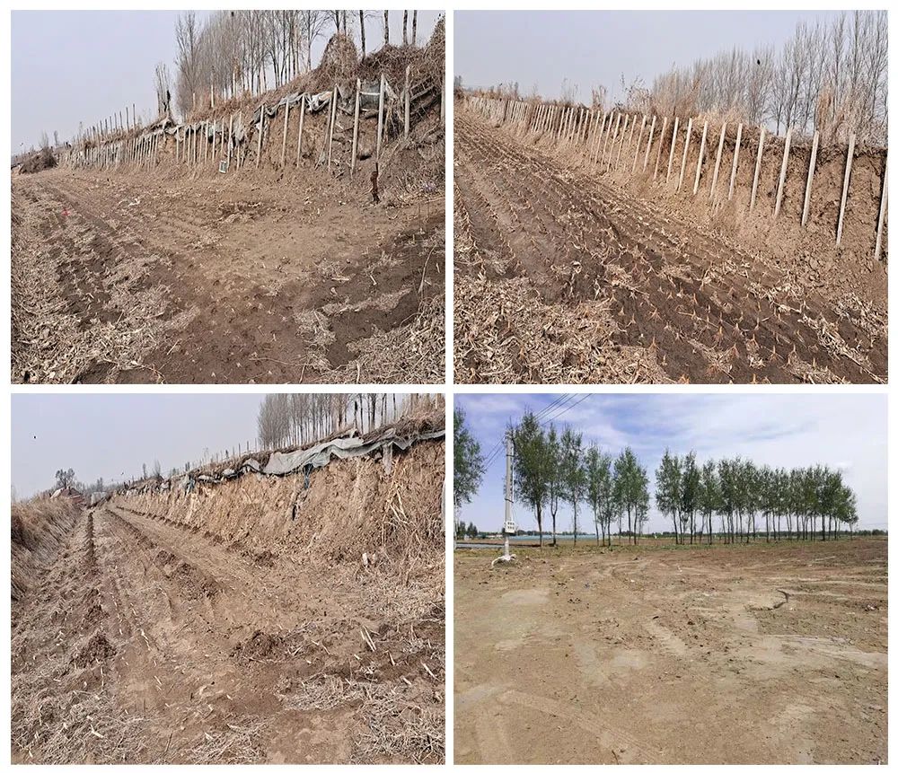 ����ʹ-fun88����ʹ-�ٷ���վ