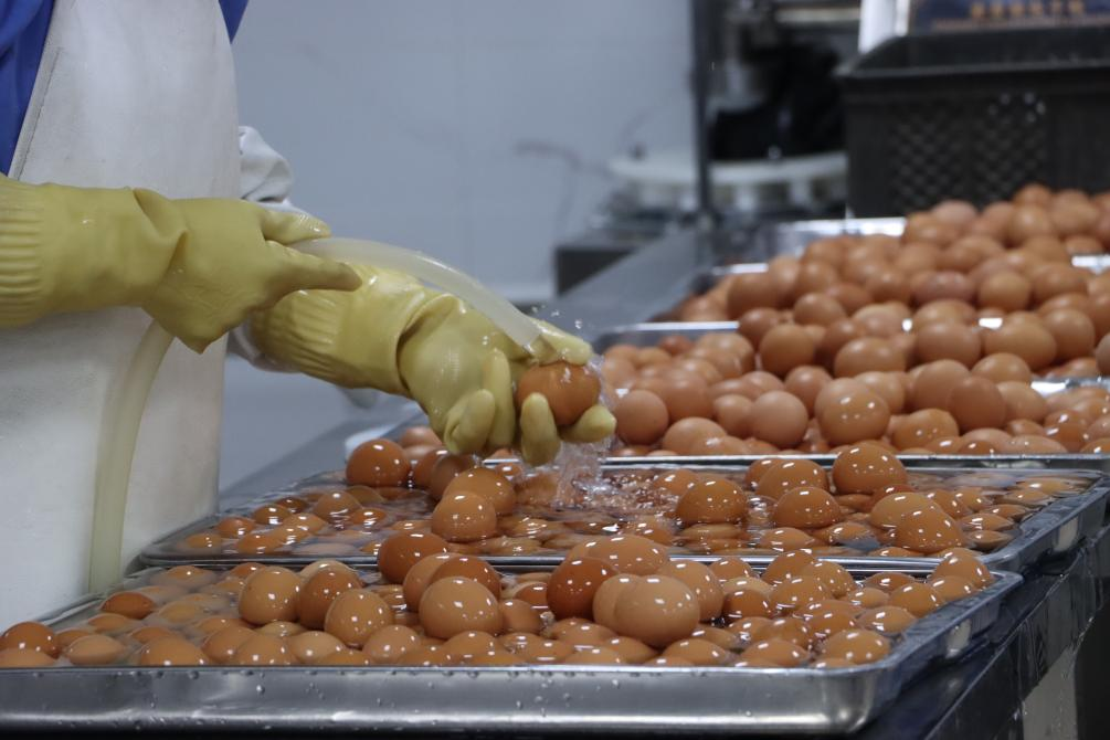 ����ʹ-fun88����ʹ-�ٷ���վ