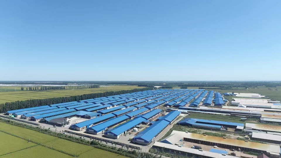 ����ʹ-fun88����ʹ-�ٷ���վ