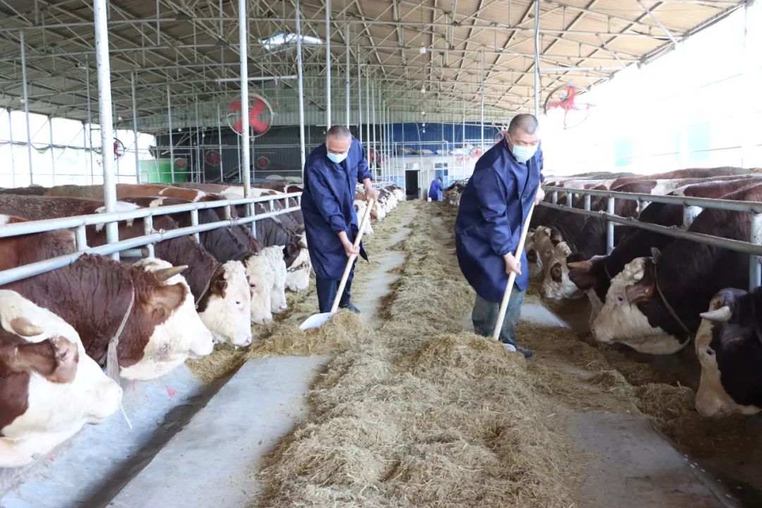 ����ʹ-fun88����ʹ-�ٷ���վ