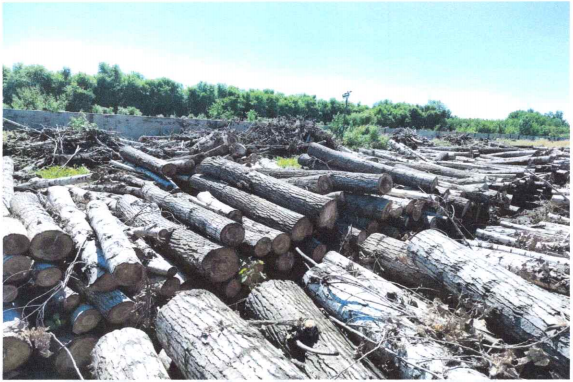 ����ʹ-fun88����ʹ-�ٷ���վ