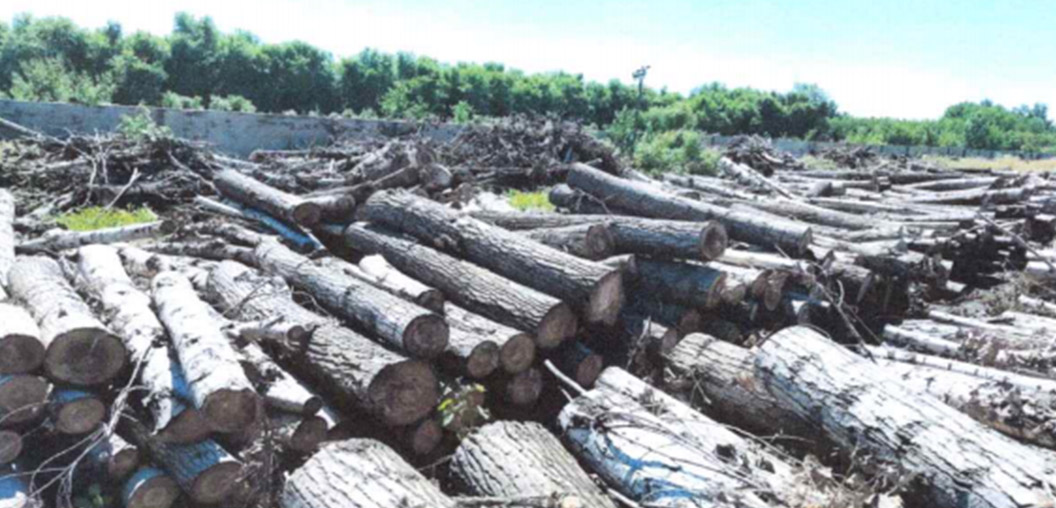 ����ʹ-fun88����ʹ-�ٷ���վ