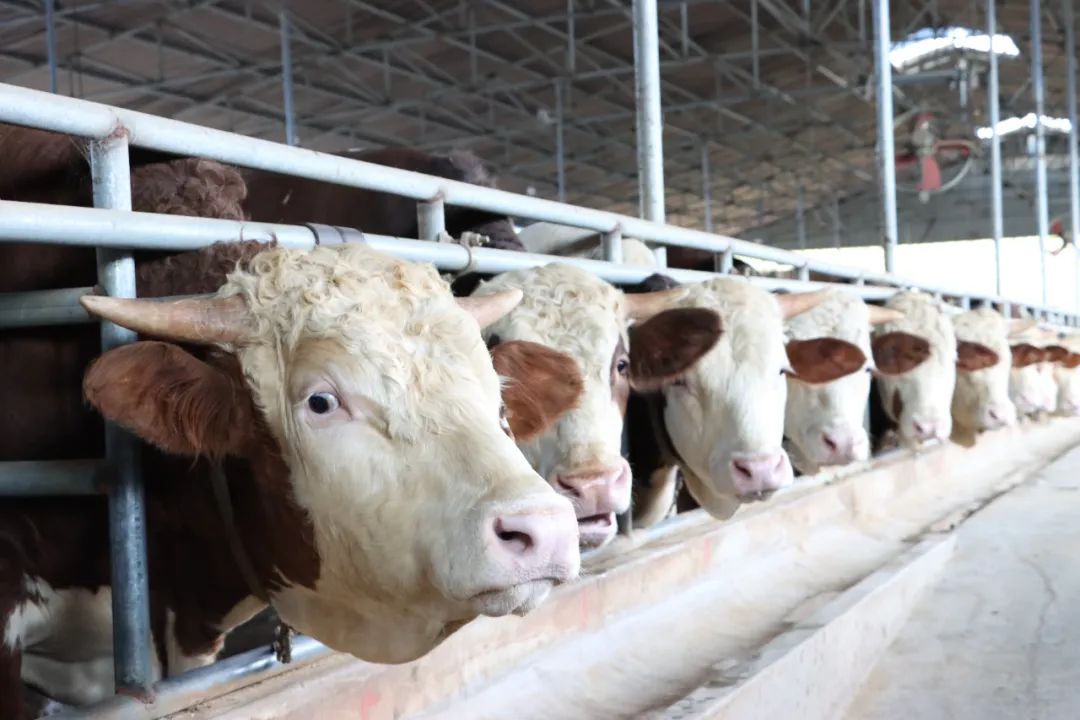 ����ʹ-fun88����ʹ-�ٷ���վ