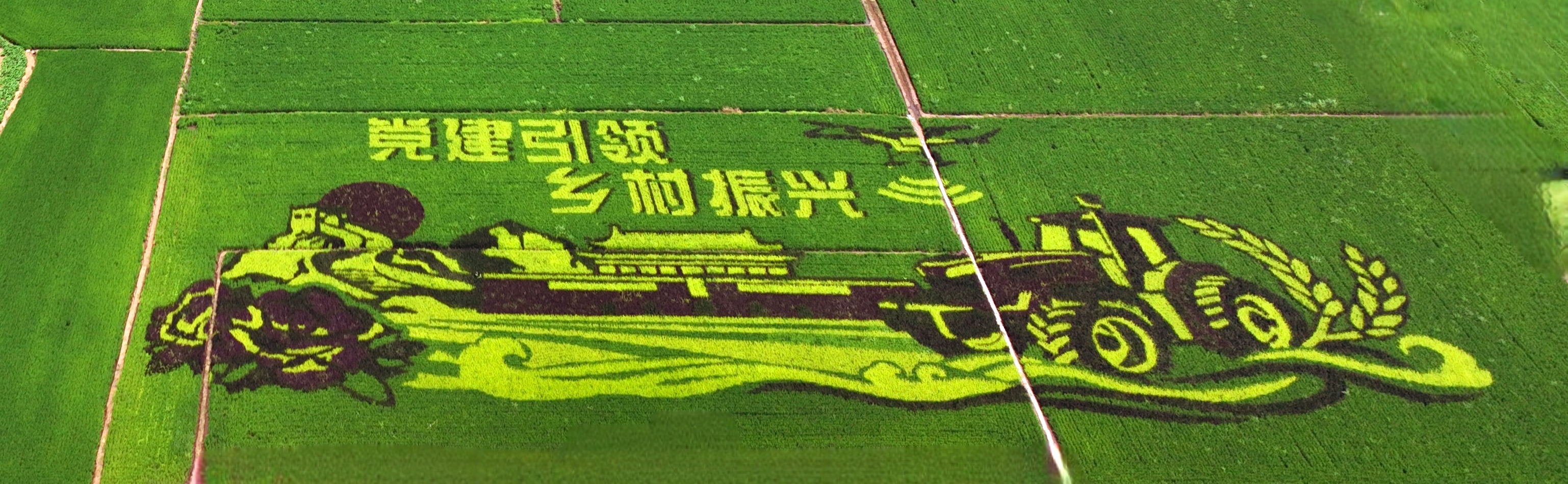 ����ʹ-fun88����ʹ-�ٷ���վ