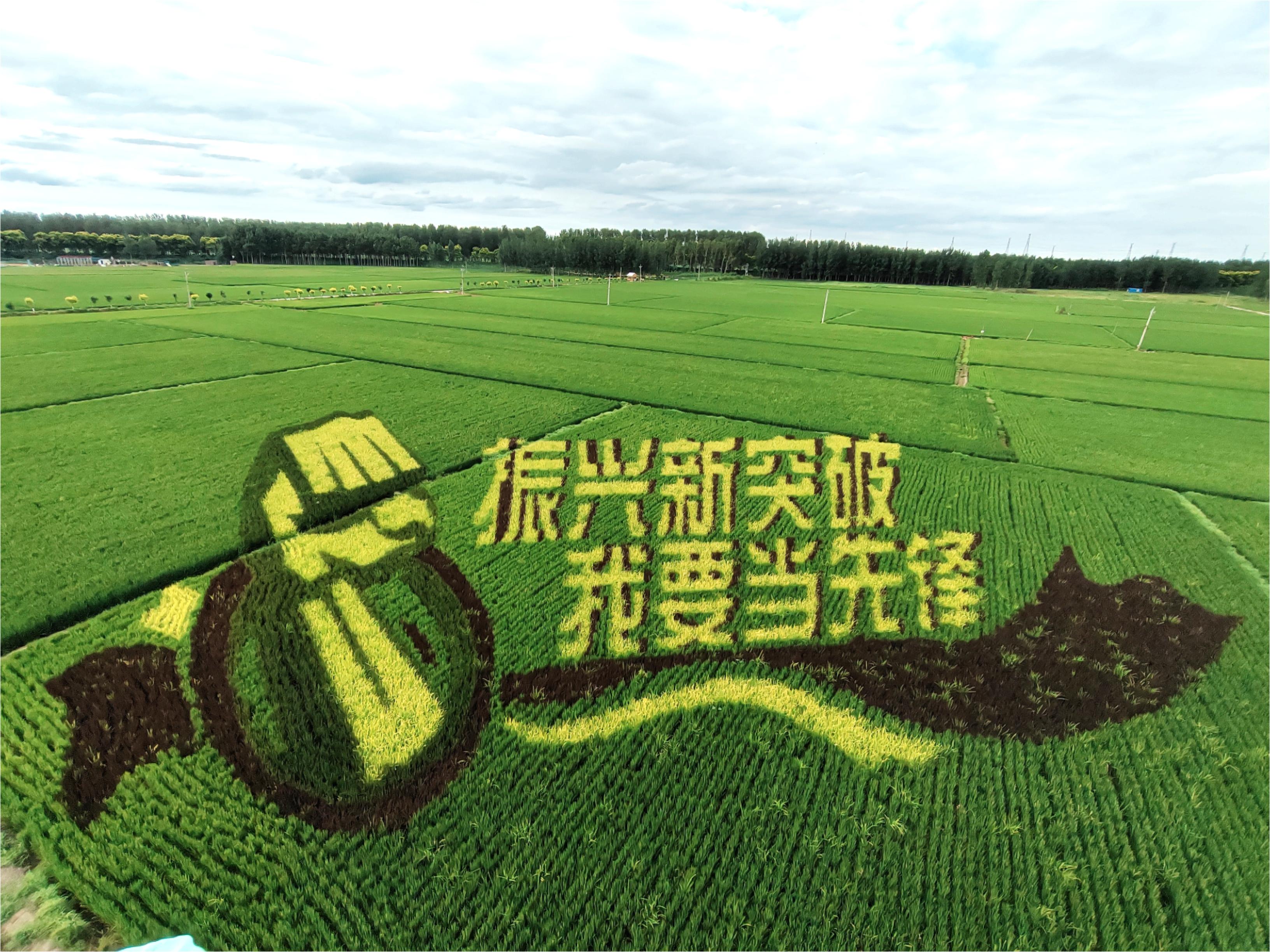 ����ʹ-fun88����ʹ-�ٷ���վ