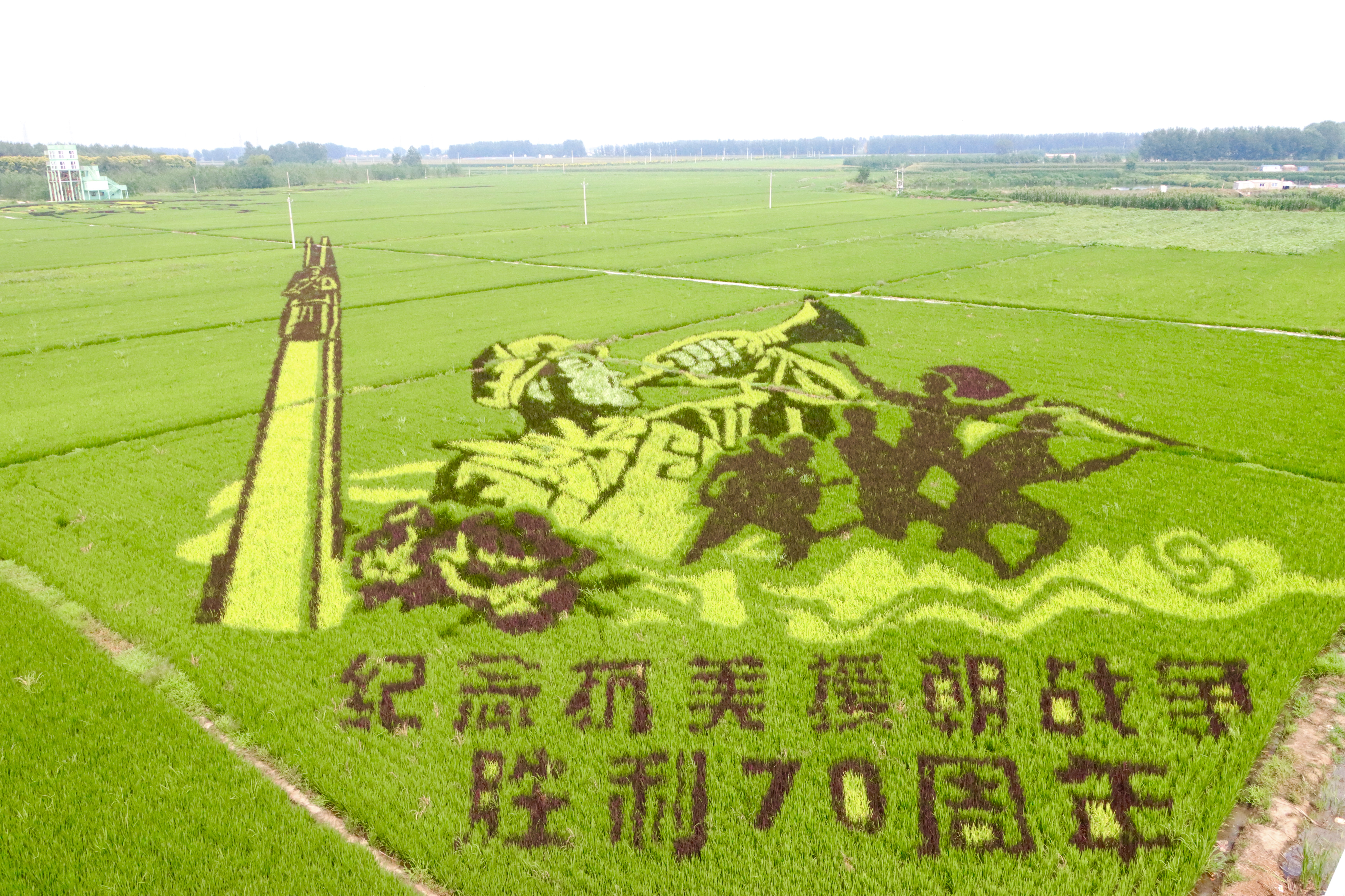 ����ʹ-fun88����ʹ-�ٷ���վ