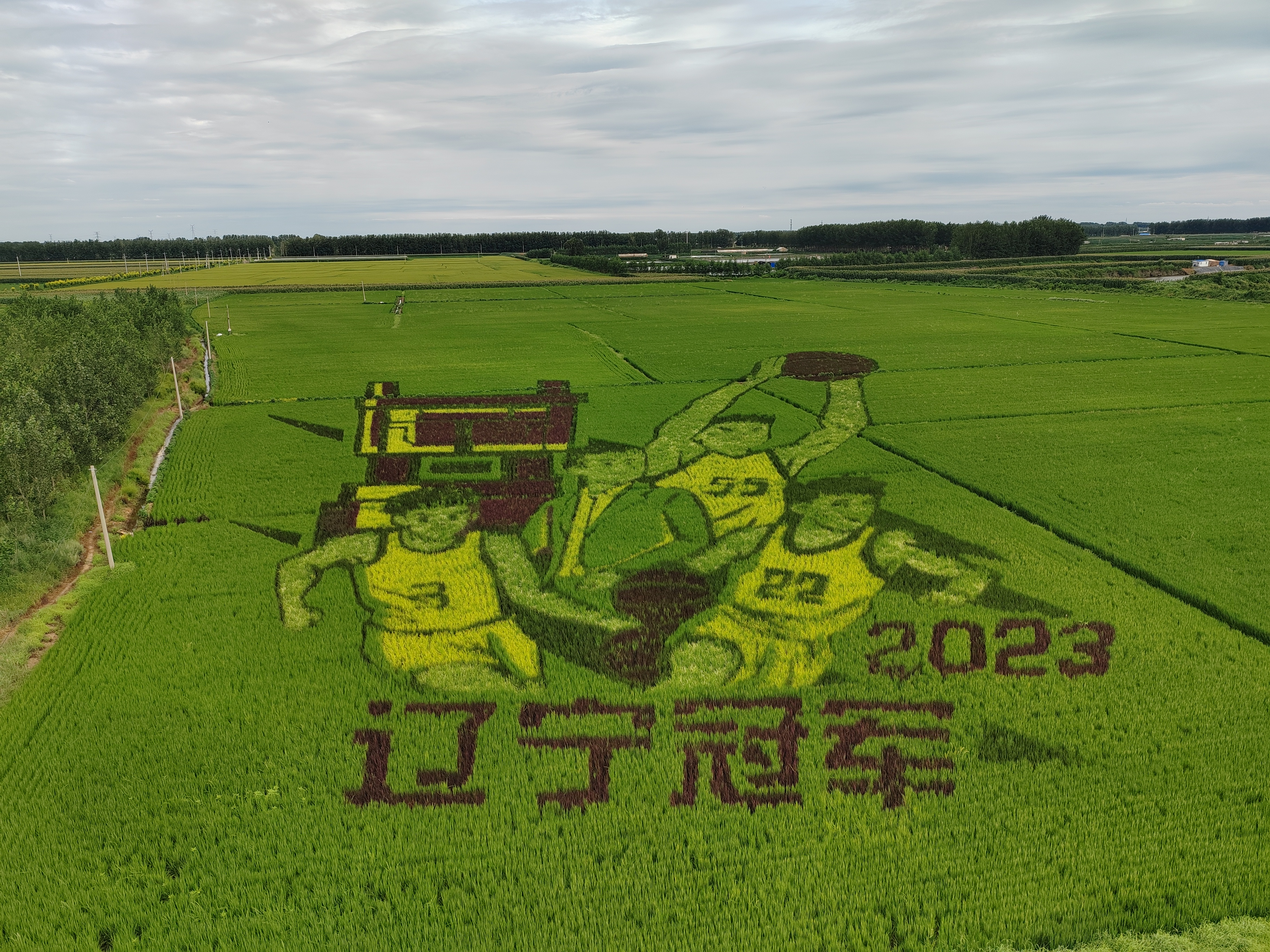 ����ʹ-fun88����ʹ-�ٷ���վ