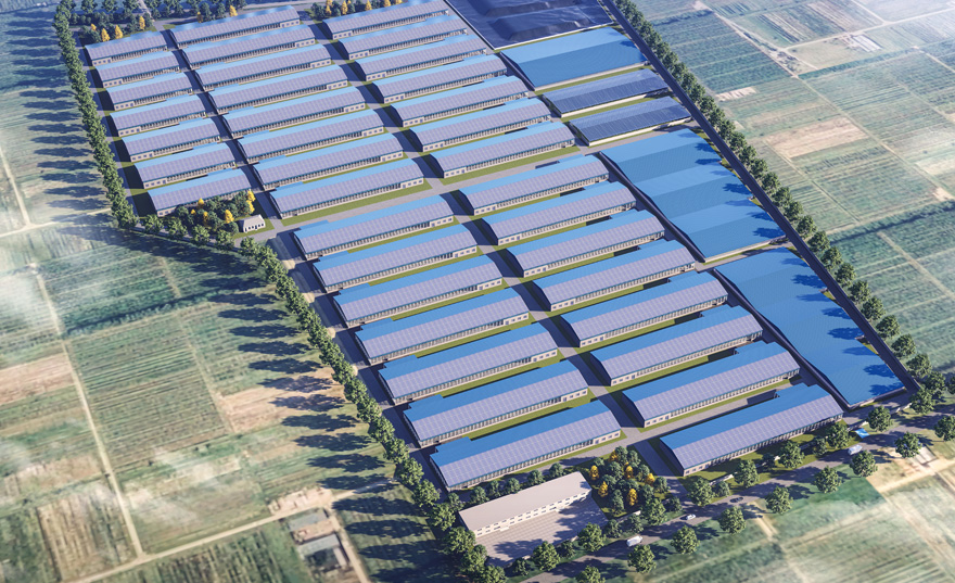 ����ʹ-fun88����ʹ-�ٷ���վ